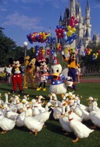 Donald Duck’s 50th Birthday